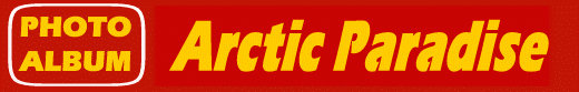 Photo Album: Arctic Paradise
