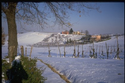 Lungo la discesa da Montebudello