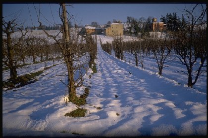 Nella valle del Panaro