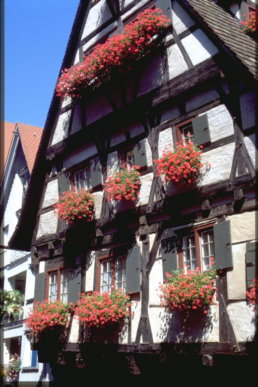 The Crooked House in Ulm's Fishermen's quarter