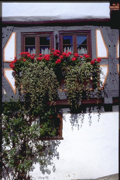 A quaint spot in the Fishermen's quarter