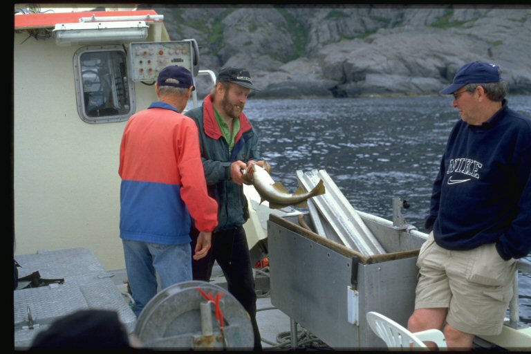 Fishing on the cycle boat part two